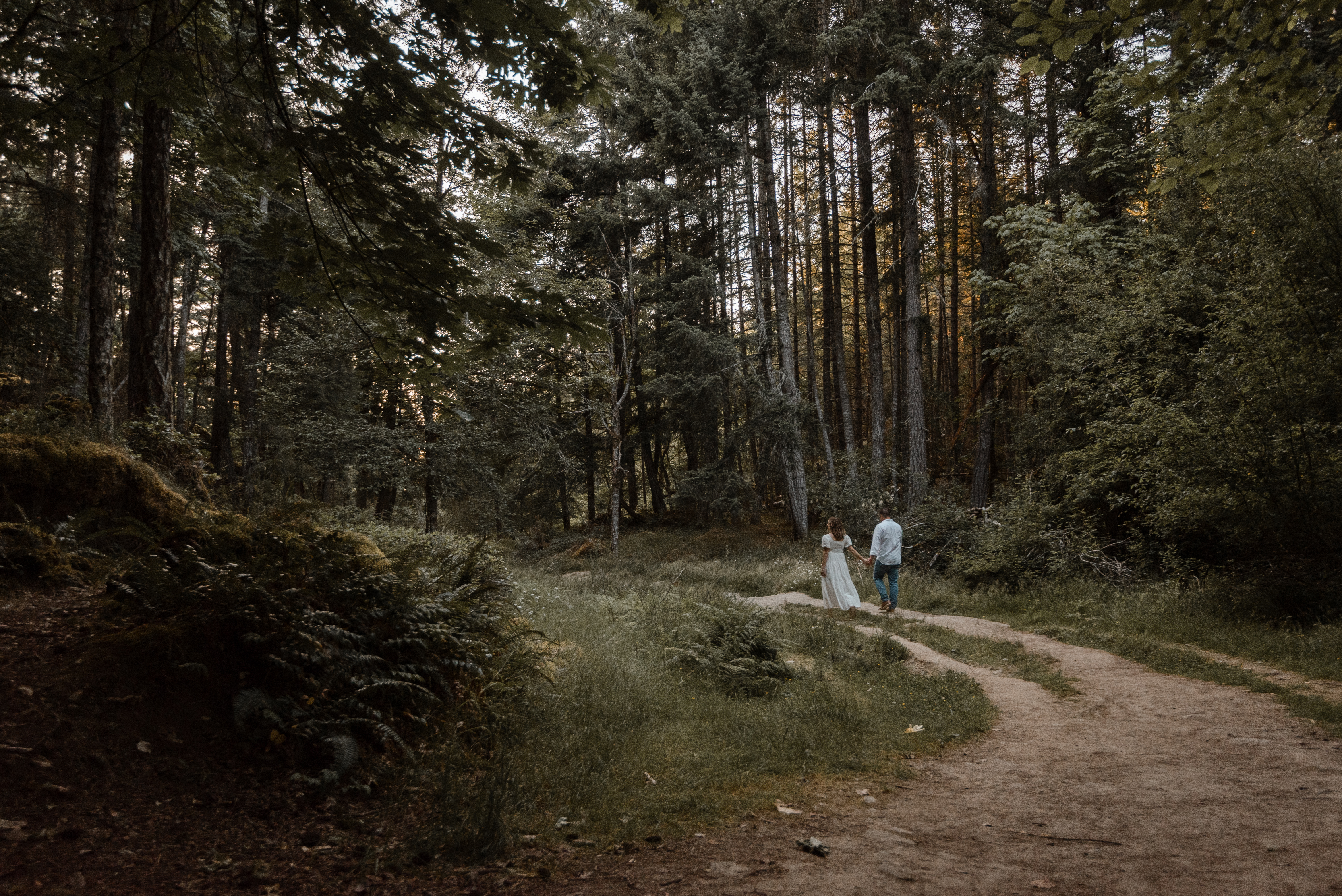 Couple holding hands walking down a beautiful path in Stoney Hill Regional Park on Vancouver Island