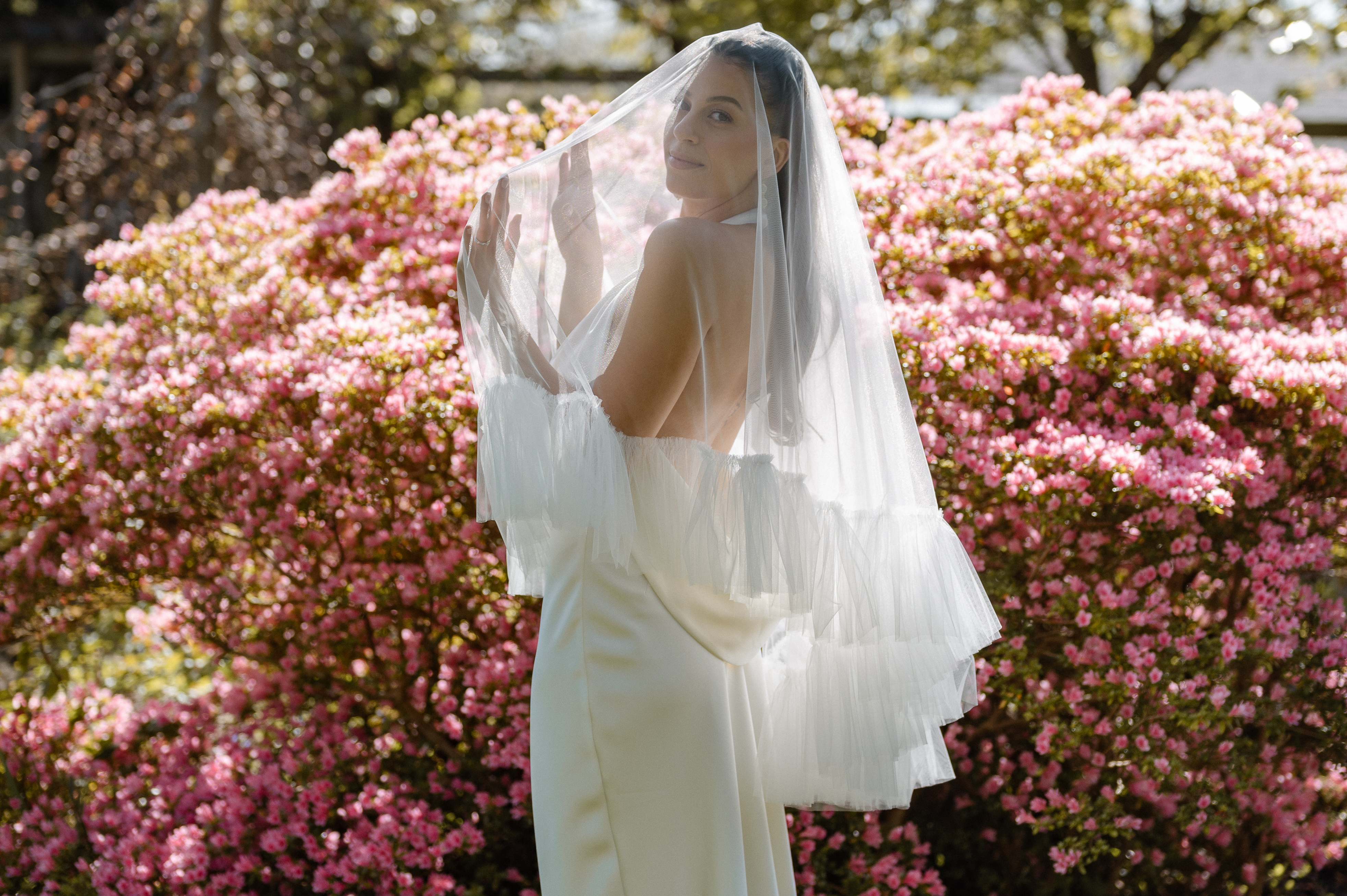 Bride standing under her veil in Abkhazi Garden surrounded by pink flowering bushes in Victoria