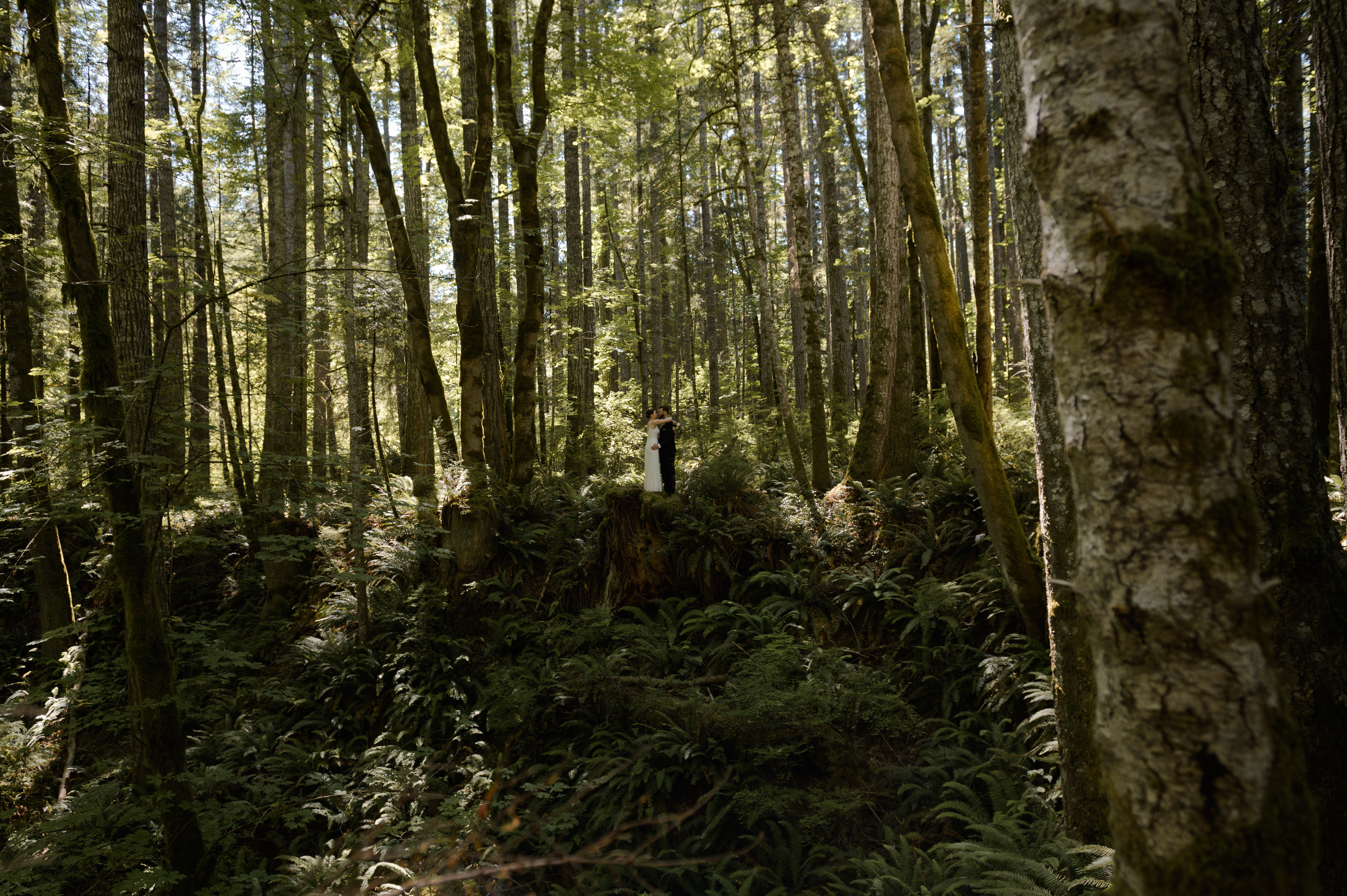 Couple standing together among lush ferns and vibrant forest greenery at Seal Bay Park on Vancouver Island, photographed by C. McKenzie Photography